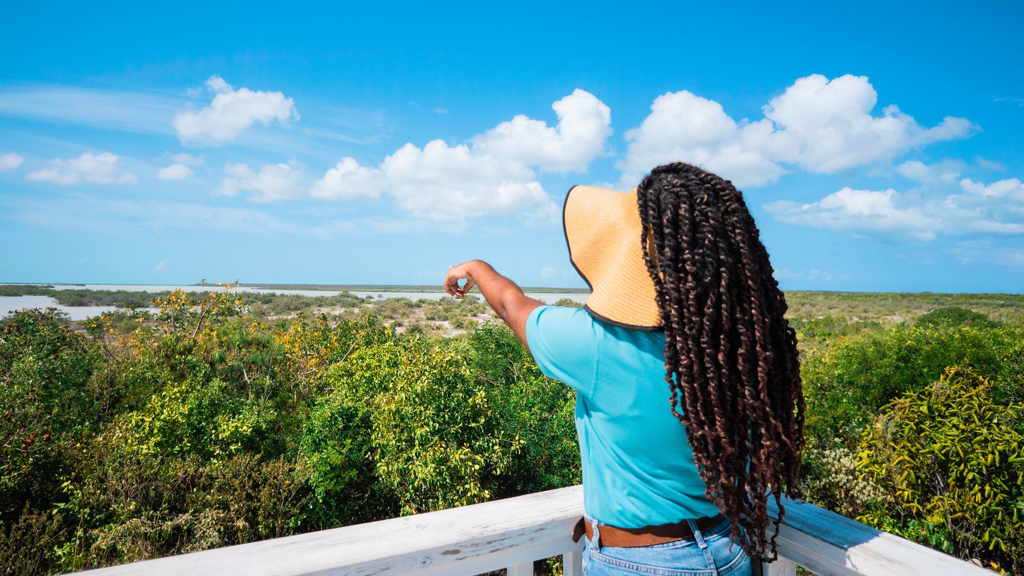 Visitor at a mangrove lookout pointing across the wetlands